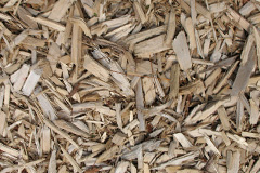 biomass boilers Barlestone